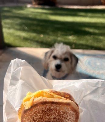 Vegetarian Breakfast Muffin with tomato and Swiss cheese