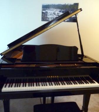 Piano lessons in any genre for ages 6 to adult, and skill levels ranging from aspiring amateur to college educated.