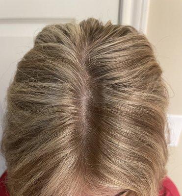 Taken after my appointment-- Stylist did not start highlights at the root and a clear line is visible.