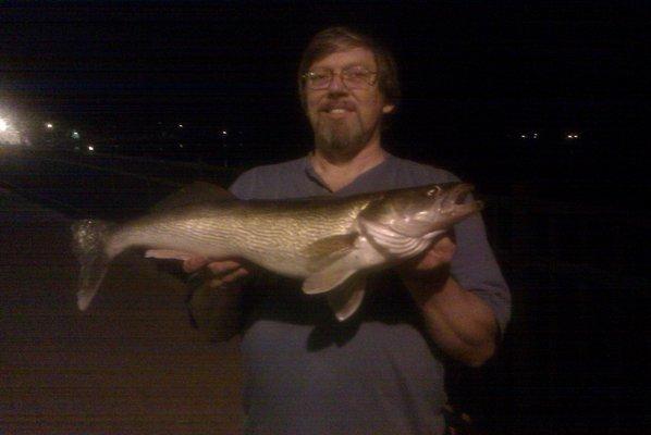 10 lb walleye