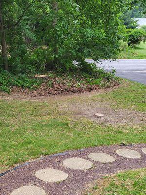 Treemendous Tree Care