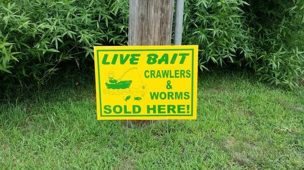 Oh yes, Lets get that live bait and go fishing!