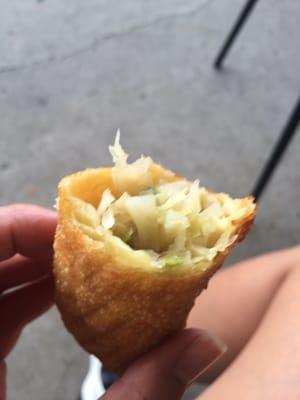 Vegetarian egg roll. Just cabbage on the inside.