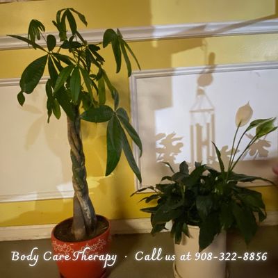 Welcome To Body Care Therapy