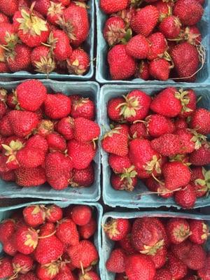 strawberries from red jacket orchards