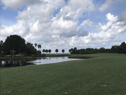 Par 5 at Cove Cay Golf Club  over looking Tampa Bay.