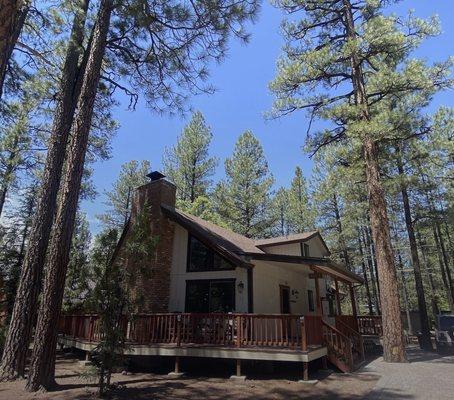 Cabin In The Pines