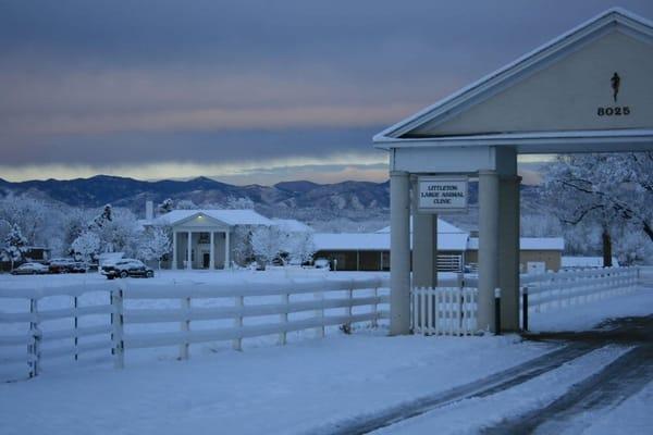 LEqMC in winter