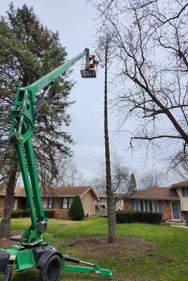 Broken Limb Tree Services