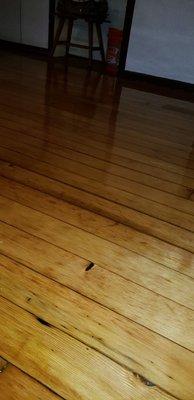 Floor refinish