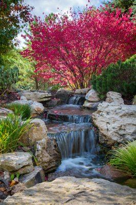 South Texas Waterscapes