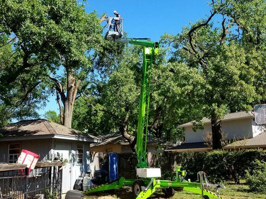 ArborLeaf Tree Care