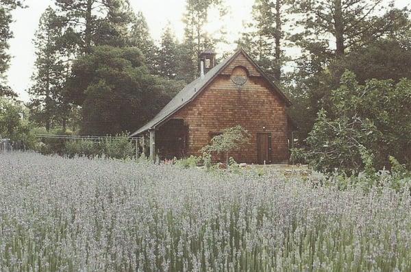 The Barn