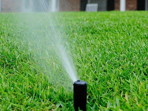 irrigation, sprinkler systems