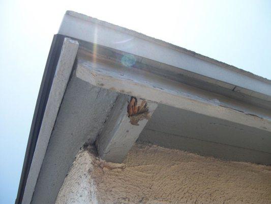 Damaged eaves are a common sign that drywood termites have infested your structure.We can repair/treat damaged eaves