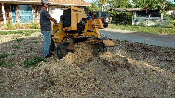 Stump grinding