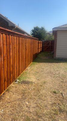 This fence was stained in Frisco,Tx