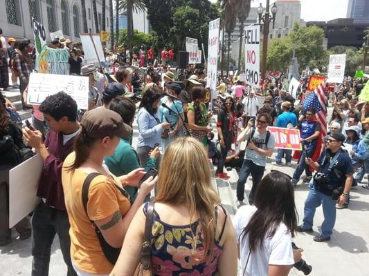 My wife/paralegal/activist and I at last year's anti-GMO foods rally. That's Phyllis at the microphones unexpectedly voluntee...