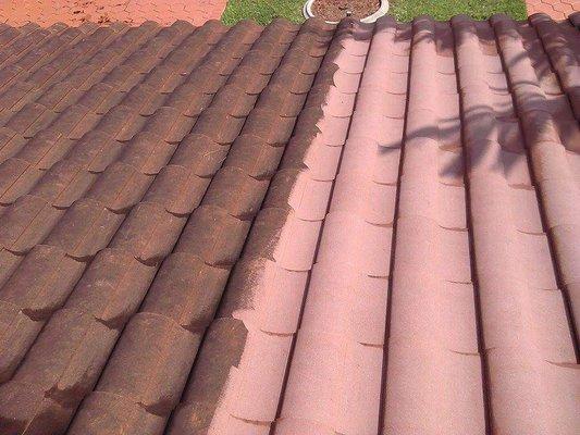 Roof Cleaning