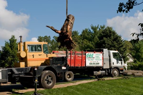 G & G Lawn Care & Tree Service