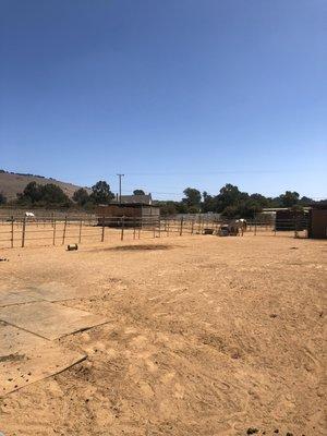 Sandy Loom footing in our large paddocks