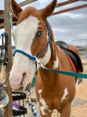 Trinity Therapeutic Riding Center