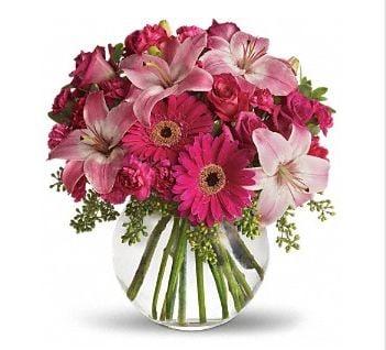 All-O-K'Sions Flowers & Gifts