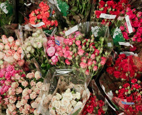 Wholesale Flowers for Florists