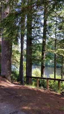 Peaceful and relaxing Lake Flora.