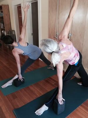 Iyengar Rope Walls help us get our alignment and stretch on!