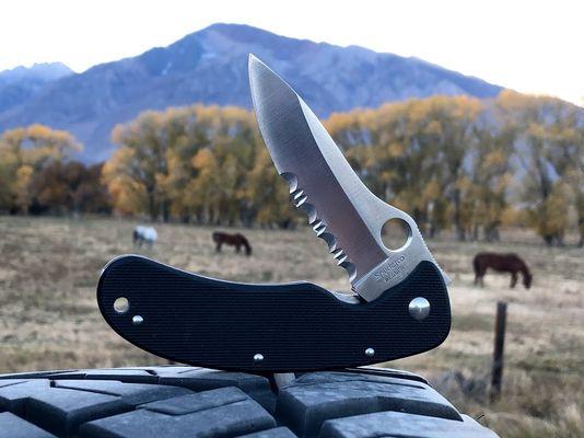 Spyderco in nature.
 Round Valley, Bishop  CA