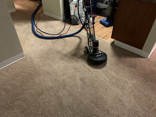 Rotovac motorized scrubber for deepest cleaning of extra soiled carpets