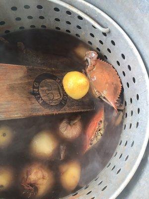 Our boil using the 3 dozen blue crabs we brought from here. They were unbelievably fresh and delicious!