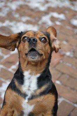 "Throw the ball!"