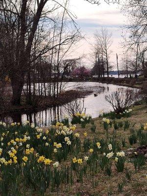 Baxter’s Pond Park