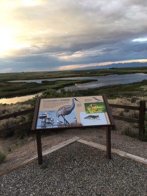 Alamosa National Wildlife Preserve the chains have gone north to Canada.