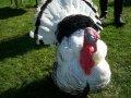 Freddy the Turkey greets you!