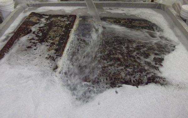 Experience our Enzyme Bath with the piece of mind that we offer guaranteed odor removal for your treasured rug.