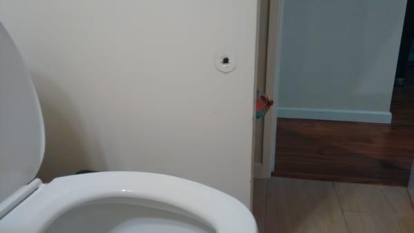 Hole is wall where toilet dispenser was improperly installed.