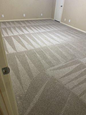 Clean Carpet