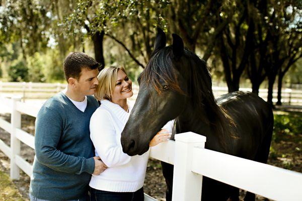 A custom horse enclosure protects your investment.