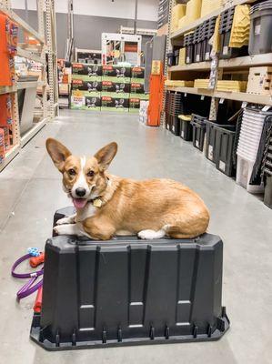 Home Depot practicing "place"