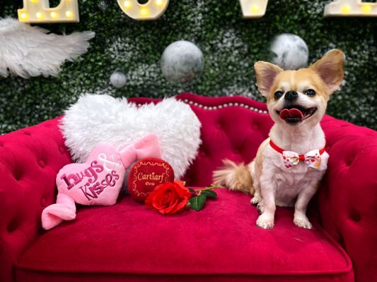 Valentine's themed photo wall, bows, and toys for the month of February!