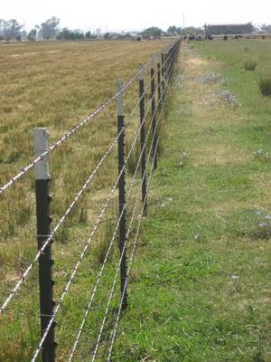 Barb Wire installed by Ranch Fence, Inc.