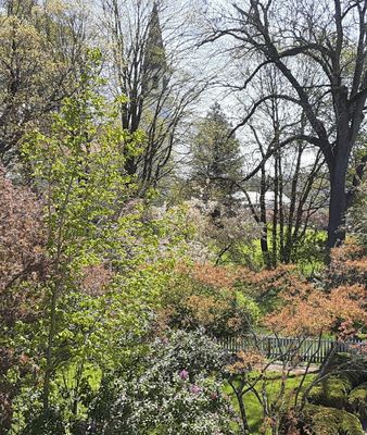 The view from atop the 1810 House looking out at Lewis Park and the Old School Baptist Meeting House. (photo taken by Mike Hazard)