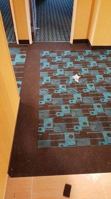 Custom boarder with Patern match carpet Fairfield Inn by Marriott Robinson town Center