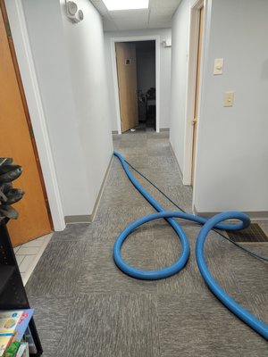 Cleaning a carpet for a customer