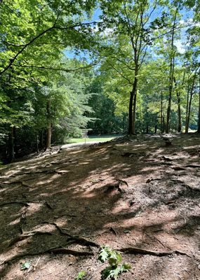 Reedy Creek Park