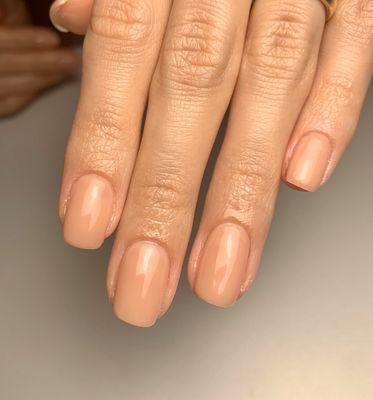 Nude color gel polish Luxio