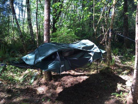 Hammock Tent camping at the Trillium camp site!